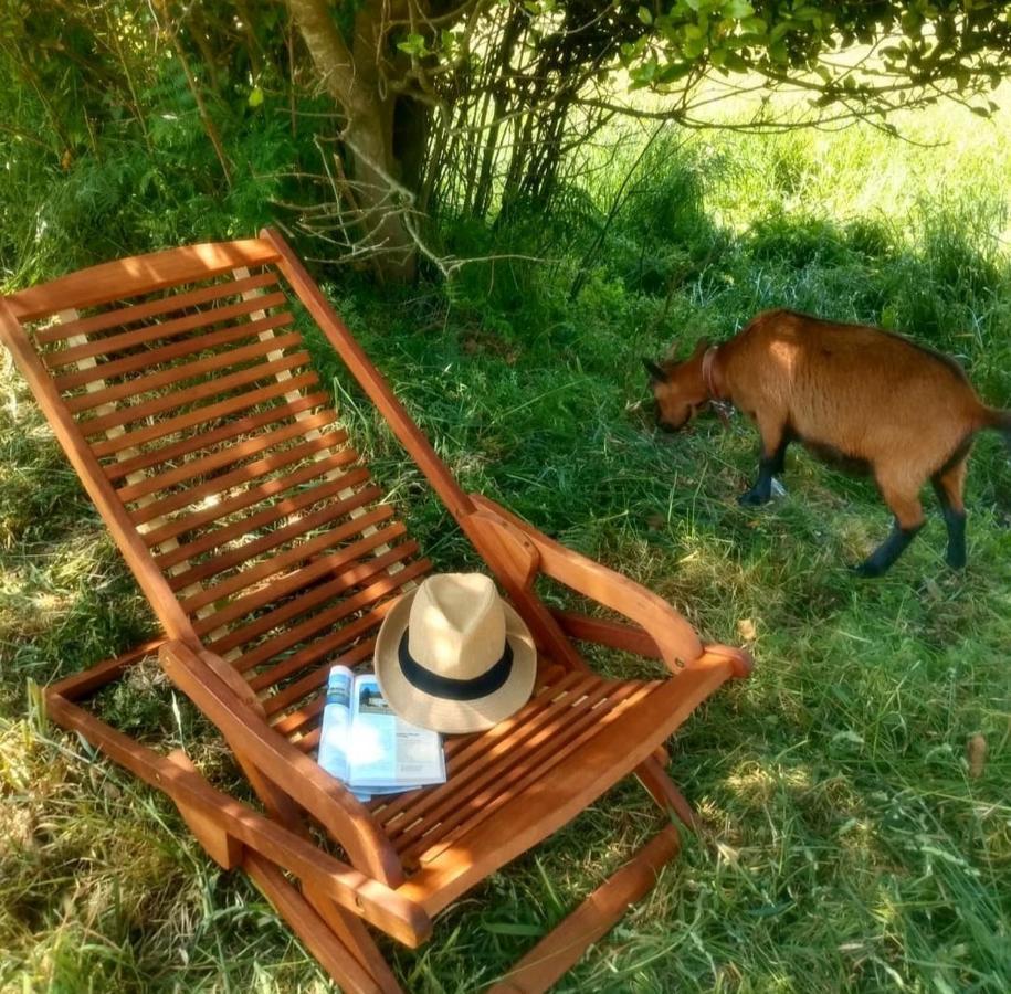 Casa Rural Lineiros มูเซีย ภายนอก รูปภาพ